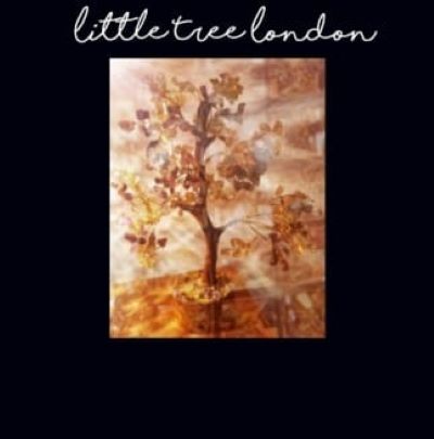 Little Tree London